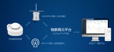 巴黎圣母院大火之痛 物聯(lián)網(wǎng)消防應用與研發(fā)的緊迫呼喚